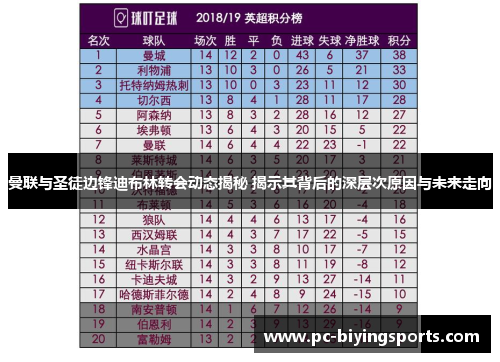 曼联与圣徒边锋迪布林转会动态揭秘 揭示其背后的深层次原因与未来走向