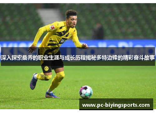 深入探索桑乔的职业生涯与成长历程揭秘多特边锋的精彩奋斗故事