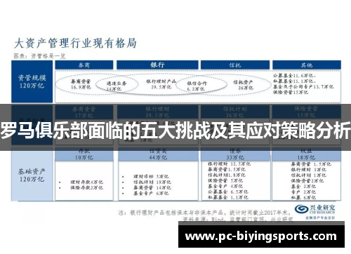 罗马俱乐部面临的五大挑战及其应对策略分析