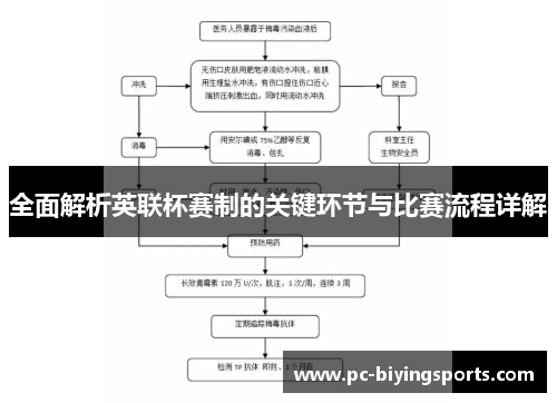 全面解析英联杯赛制的关键环节与比赛流程详解 全面解析英联杯赛制的关键环节与比赛流程详解