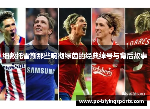 细数托雷斯那些响彻绿茵的经典绰号与背后故事