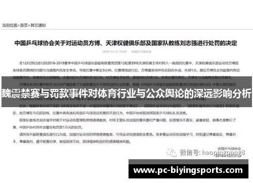 魏震禁赛与罚款事件对体育行业与公众舆论的深远影响分析